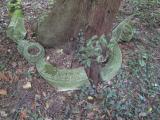 image of grave number 339245